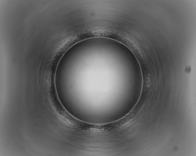 X0000091230690200708161717