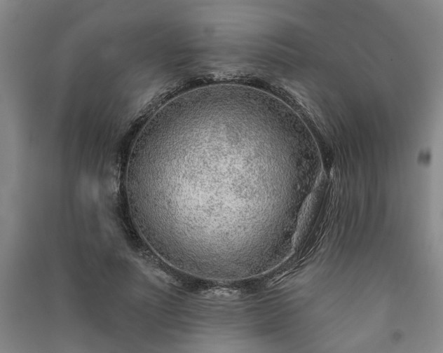 X0000091230691200708161717