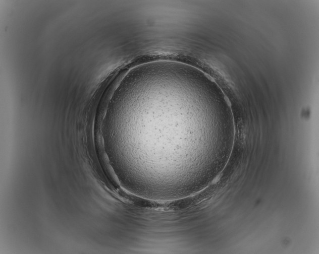 X0000091230692200708161717