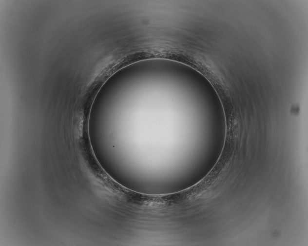 X0000091230694200708161717