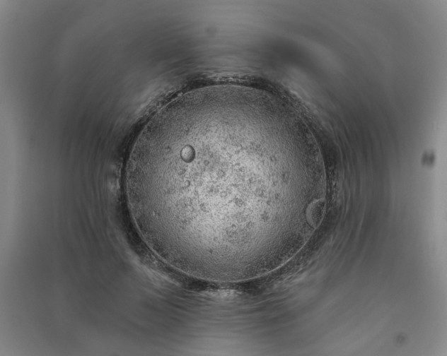 X0000091230695200708161717