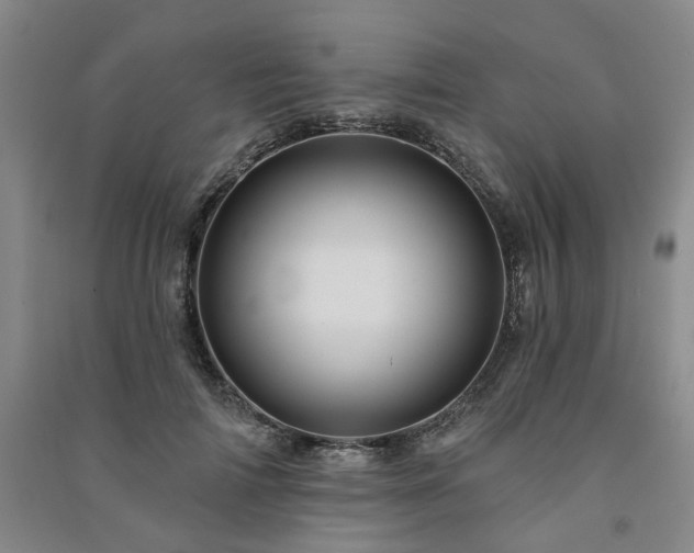 X0000091230698200708161717