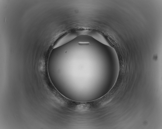 X0000091230700200708161717