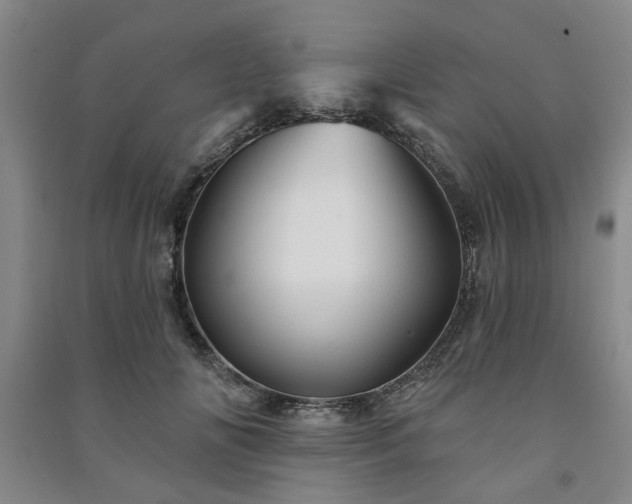 X0000091230702200708161717