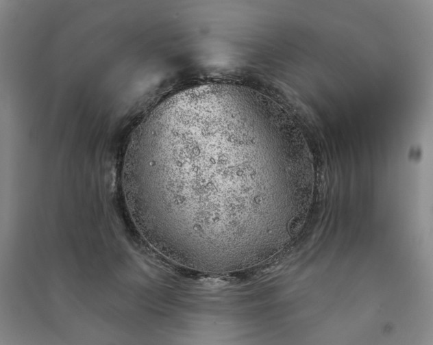 X0000091230703200708161717