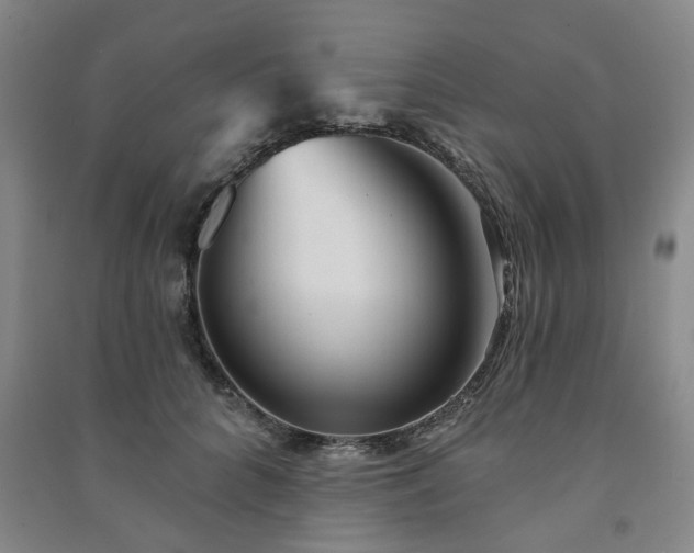 X0000091230704200708161717