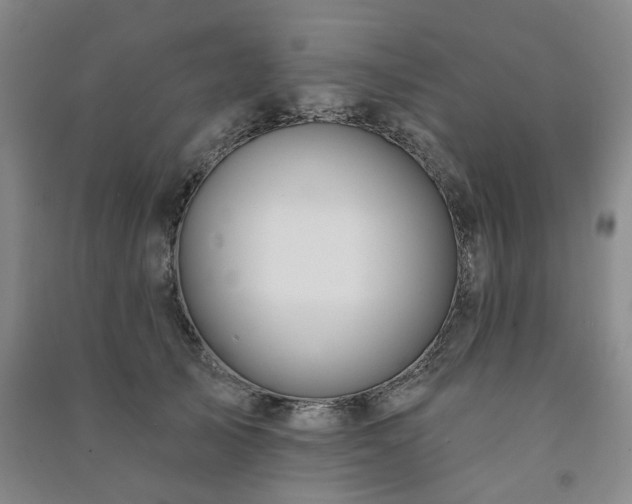 X0000091230705200708161717