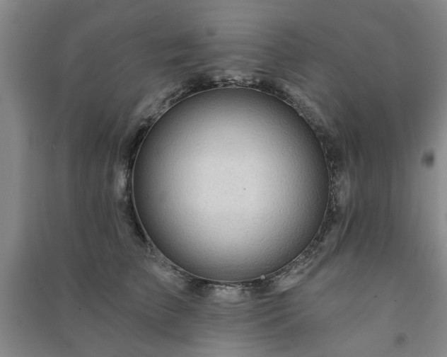 X0000091230709200708161716