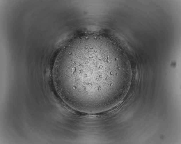 X0000091230711200708161716