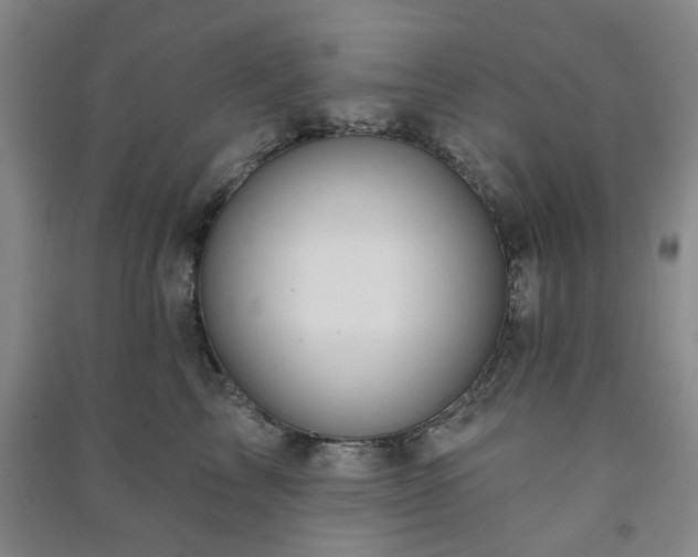 X0000091230713200708161716