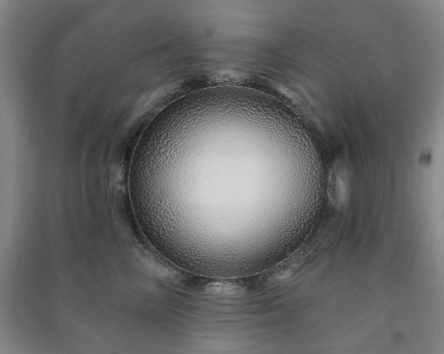 X0000091230714200708161716