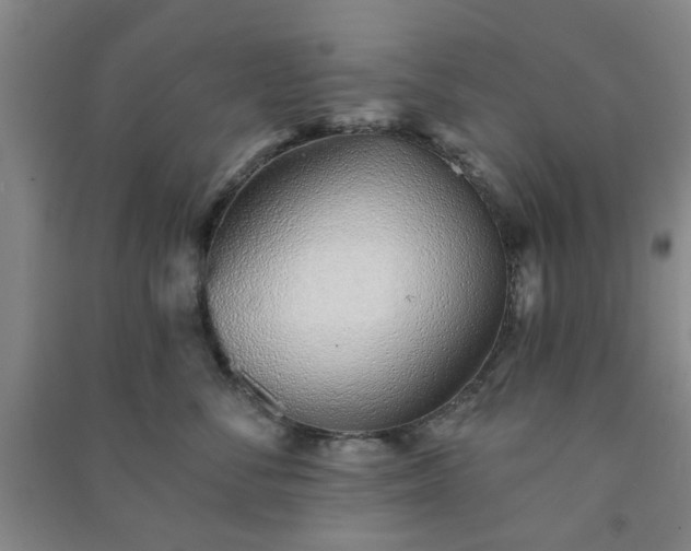 X0000091230716200708161716