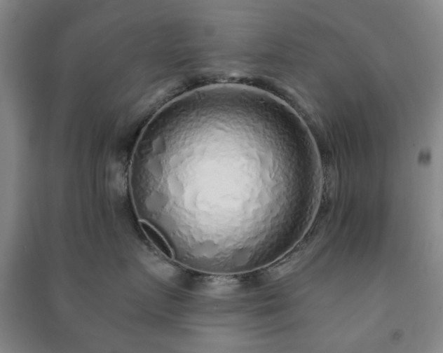 X0000091230719200708161716