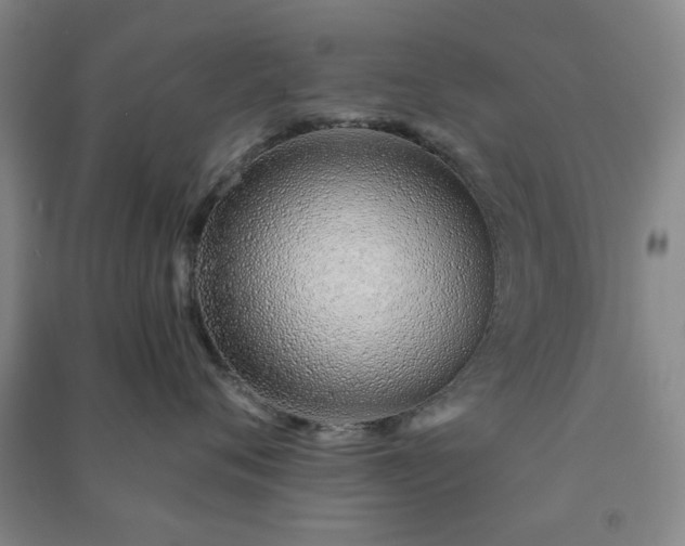 X0000091230720200708161716