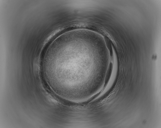 X0000091230722200708161716