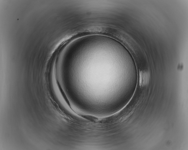 X0000091230723200708161716