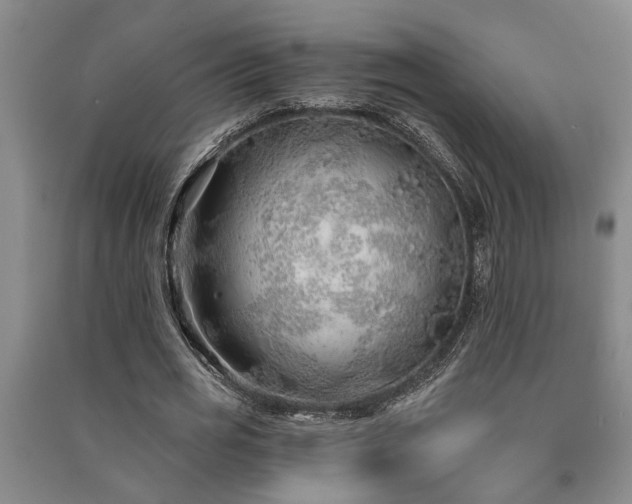 X0000091230725200708161716