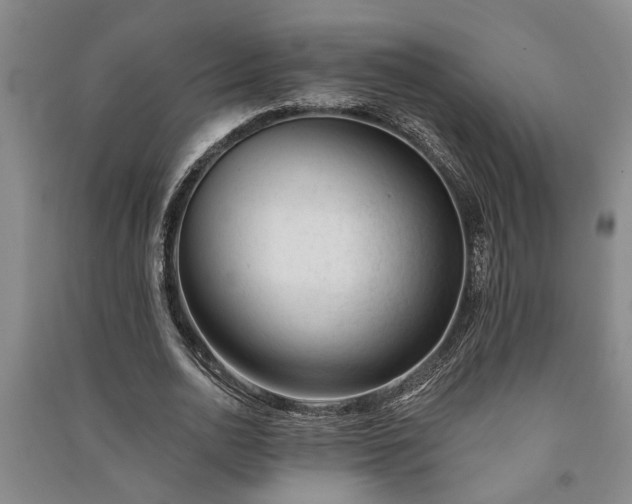 X0000091230726200708161716