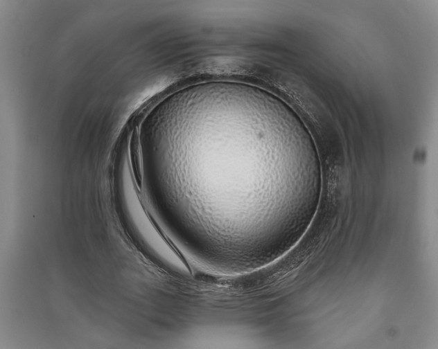 X0000091230727200708161716