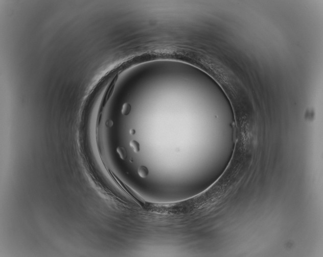 X0000091230728200708161716