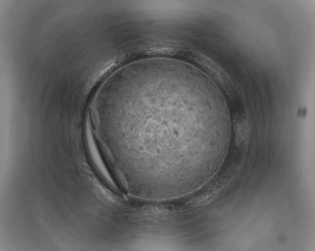 X0000091230729200708161716