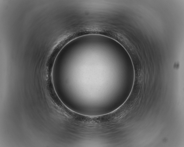 X0000091230731200708161716