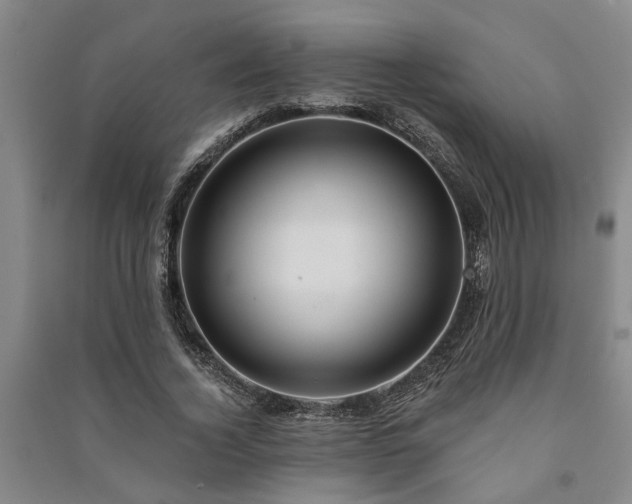 X0000091230732200708161716