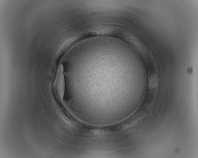 X0000091230733200708161716