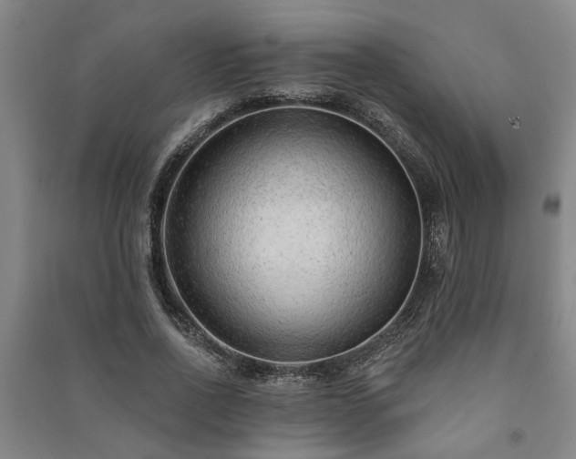 X0000091230734200708161716