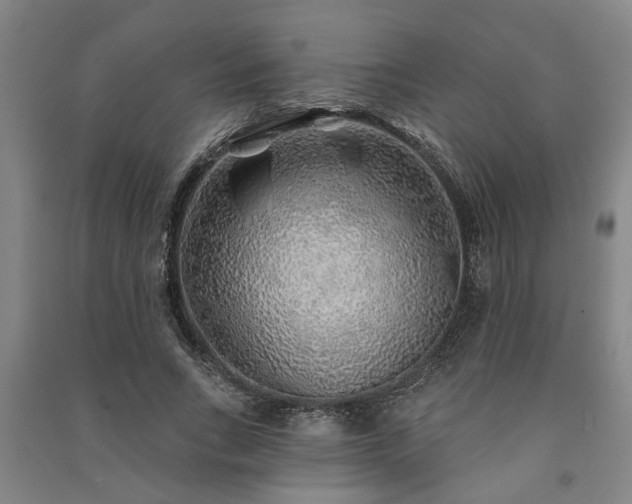 X0000091230735200708161716