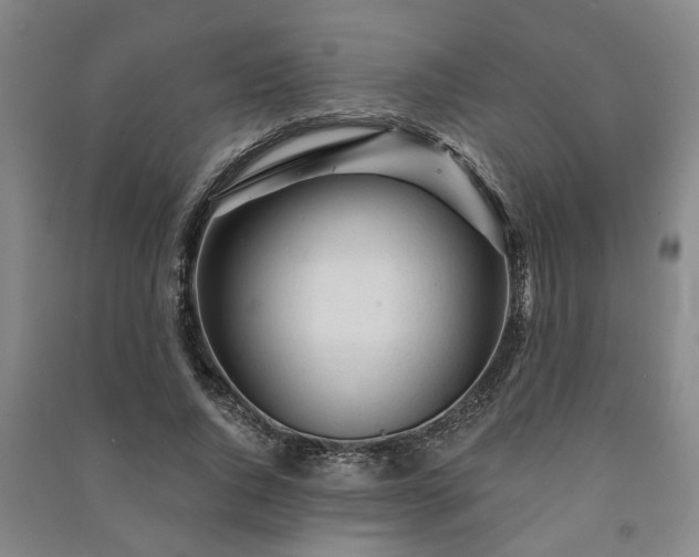 X0000091230736200708161716