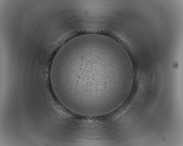 X0000091230737200708161716