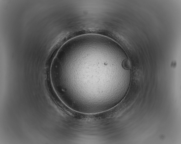 X0000091230738200708161716