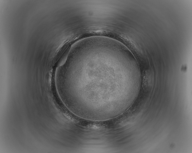 X0000091230739200708161716