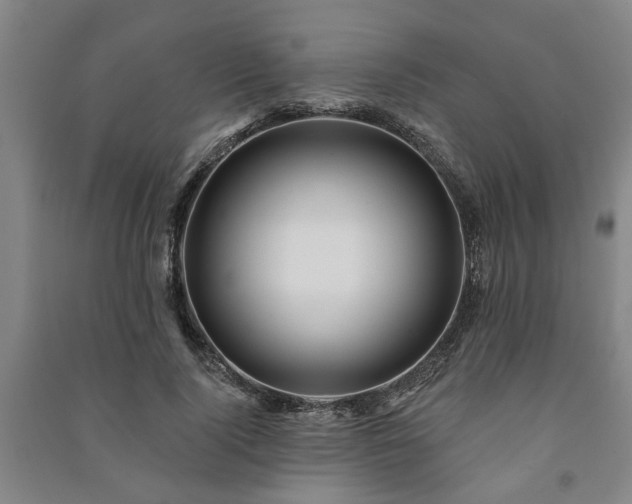 X0000091230740200708161716