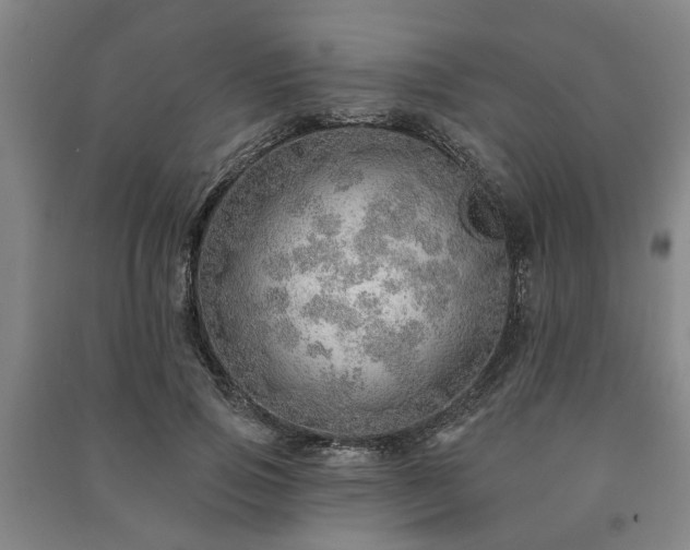 X0000091230741200708161716
