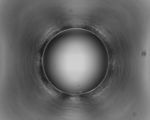 X0000091230744200708161716