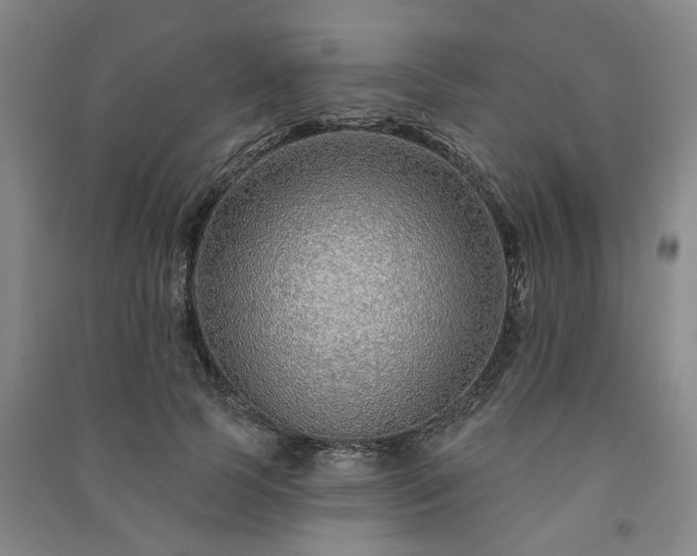 X0000091230745200708161716
