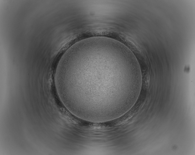X0000091230746200708161716