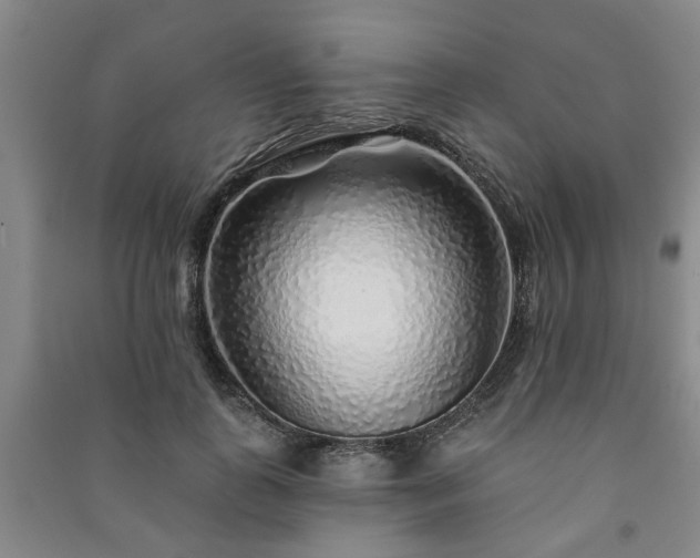 X0000091230747200708161716