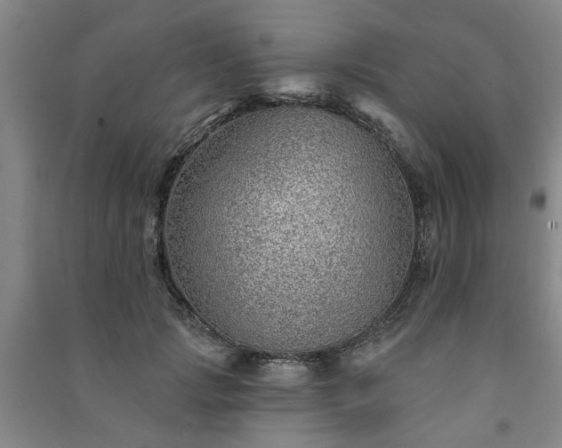 X0000091230749200708161716