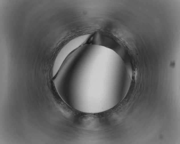 X0000091230750200708161716