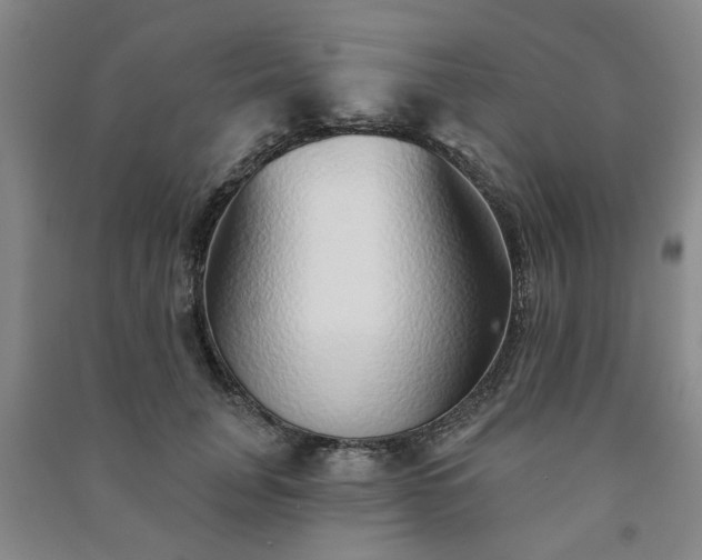 X0000091230751200708161716