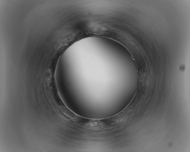 X0000091230752200708161716