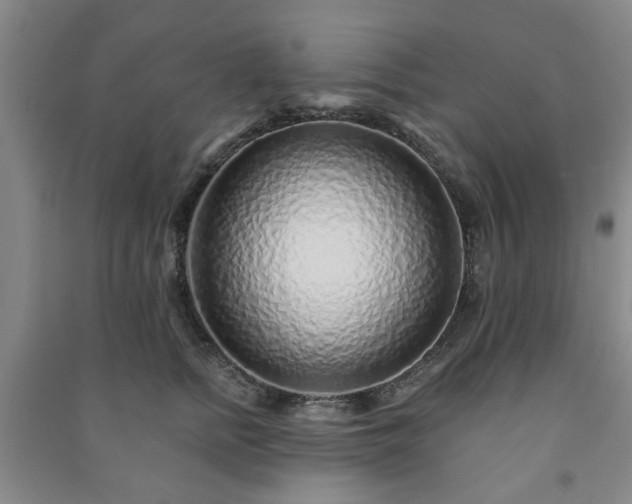 X0000091230758200708161716