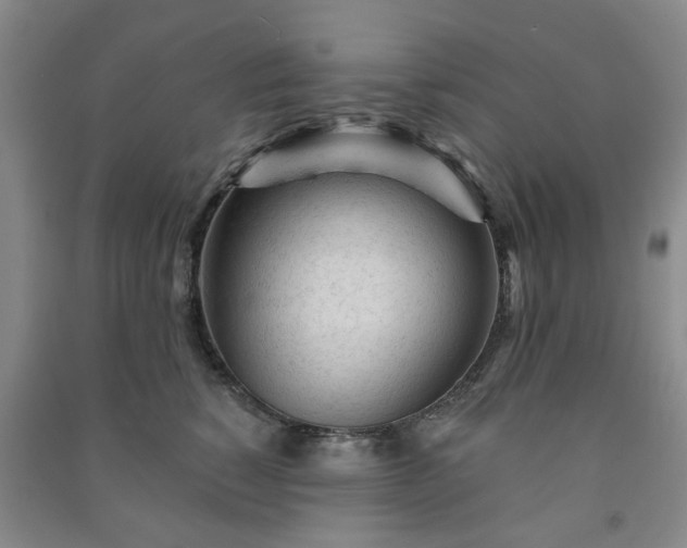 X0000091230760200708161716