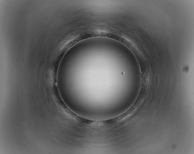 X0000091230762200708161716