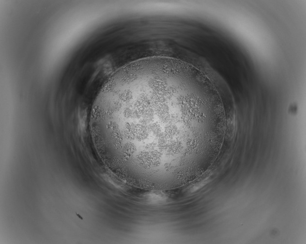 X0000091230765200708161716