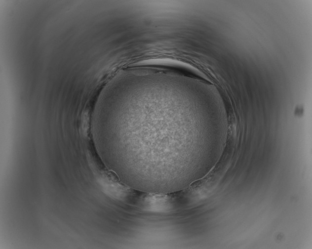 X0000091230767200708161716