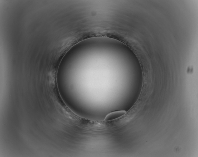 X0000091230768200708161716